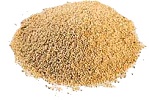 semillas de amaranto organicas